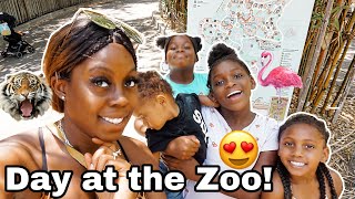 Family of 5: AMAZING FUN DAY AT LOS ANGELES ZOO😍
