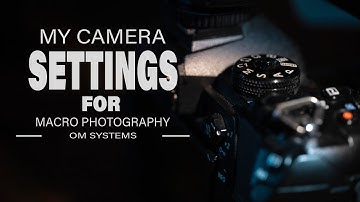 Mijn camera-instellingen voor macrofotografie!