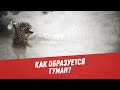 Каким бывает туман, и откуда он берется? – Шоу Картаева и Махарадзе