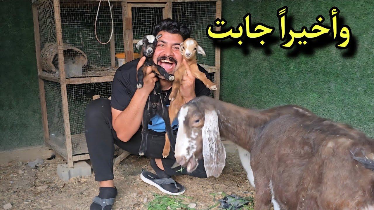 وأخيراً جابت 🥰 فرحة ما تنوصف! شوفوا شنو جابت 😍