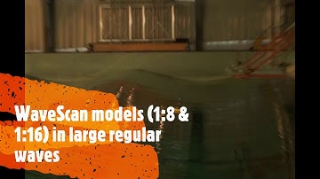 WaveScan models (1:8 & 1:16) in large regular waves