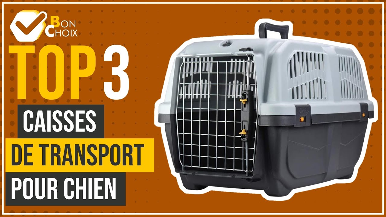 Caisses de transport pour chien - Top 3 - (BonChoix)