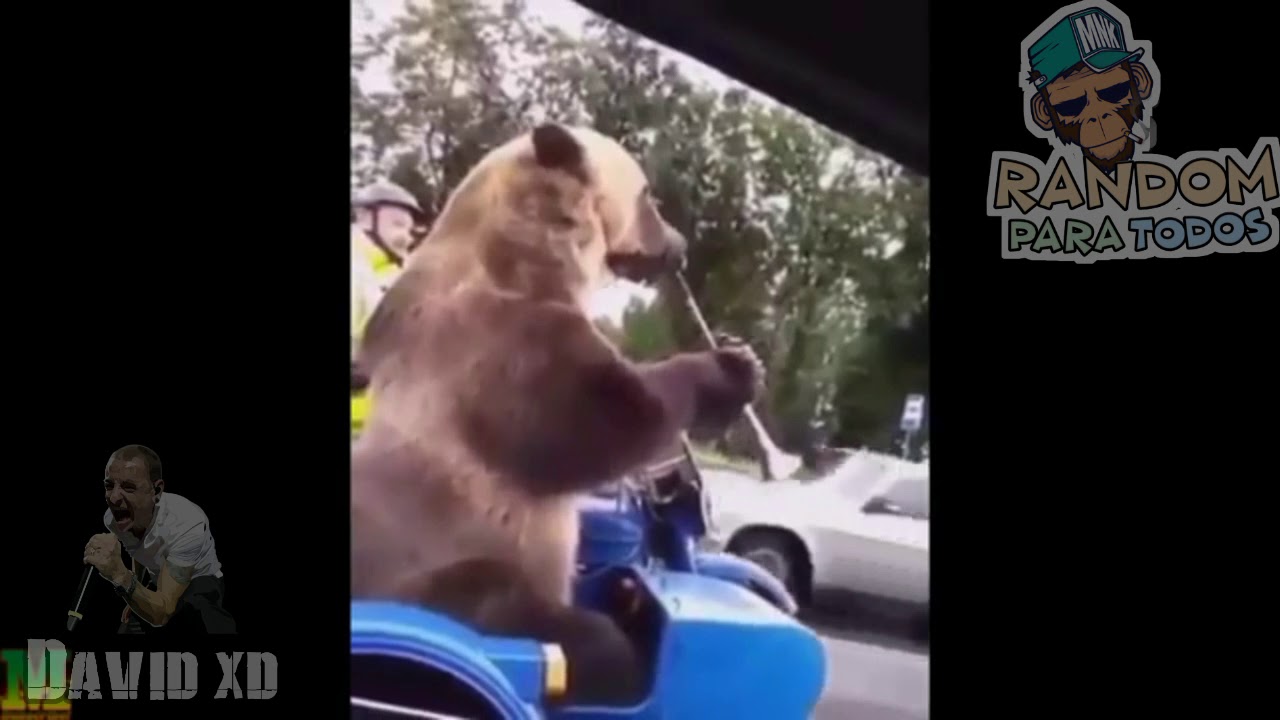 Eso Si Que Es Otra Onda v YouTube