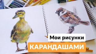 Мои Скетч Зарисовки Карандашими.