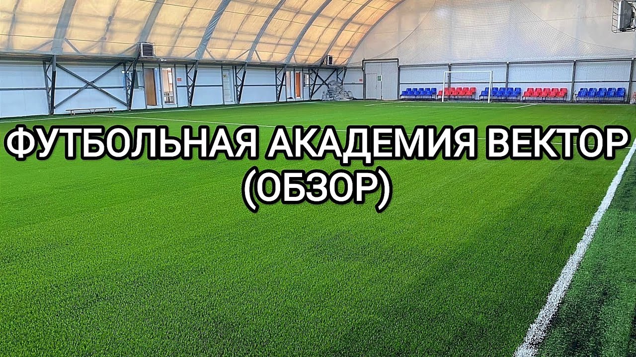 Вектор бмв киров