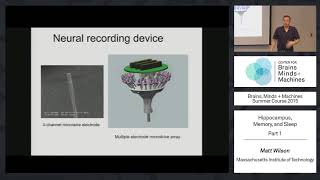 Lecture 1.6: Matt Wilson - Hippocampus, Memory, & Sleep Part 1