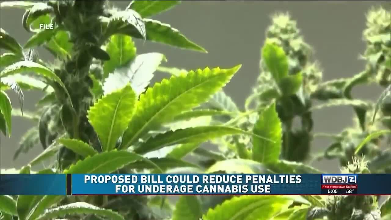 Proposed Bill Could Reduce Penalties for Underage Cannabis Use