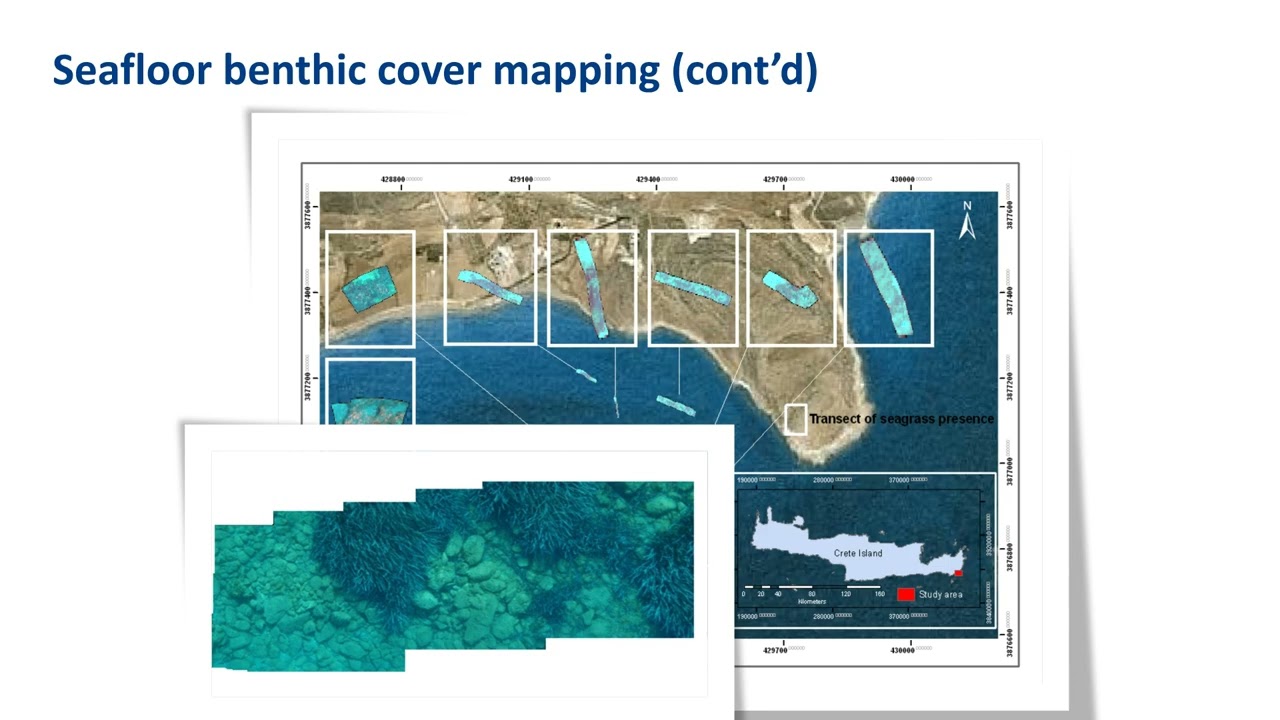 OyTwin - Procedural Ocean Content for Enhanced Bentic Cover mapping for Shellfish farming
