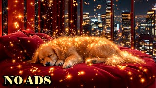 Peaceful Dog Sleepの配信のサムネイル画像