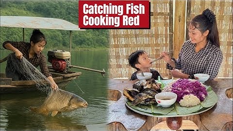 Catching Fish & Cooking Red Sticky Rice with My Son – Rural Vietnam Life