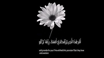 لراحة قلبك 💚🌼السورة المنجية من عذاب القبر ||سورة الملك ||تلاوة خاشعة القارئ عبد الرحمن مسعد