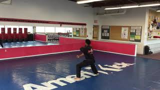 AmeriKick 1