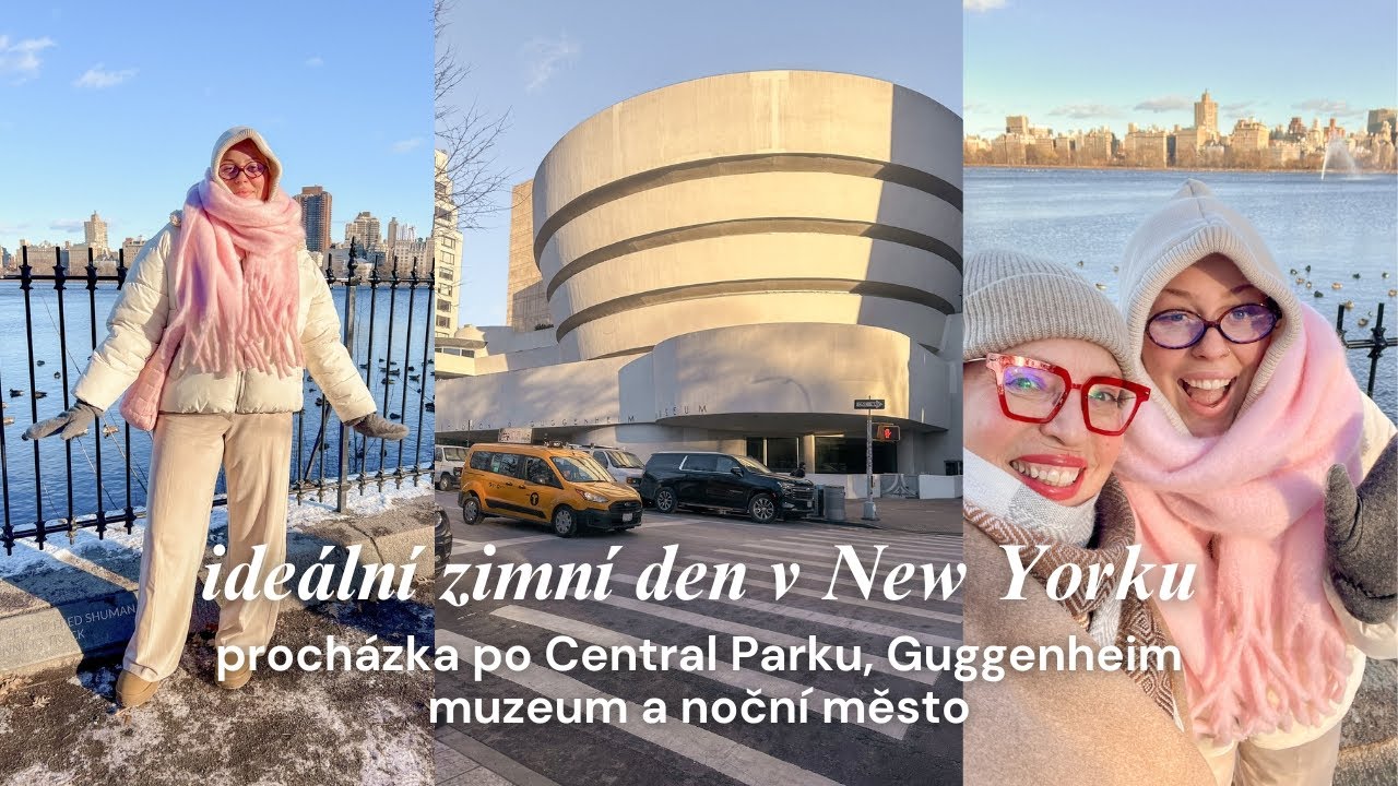 ideální zimní den v NYC: procházka po Central Parku, Guggenheim muzeum a noční město 🗽