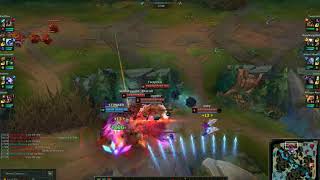 Darius R bug