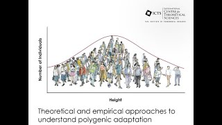Ecology and Perpetual Evolution in High Dimensions by Daniel Fisher
