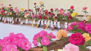Coronado Flower Show wraps up