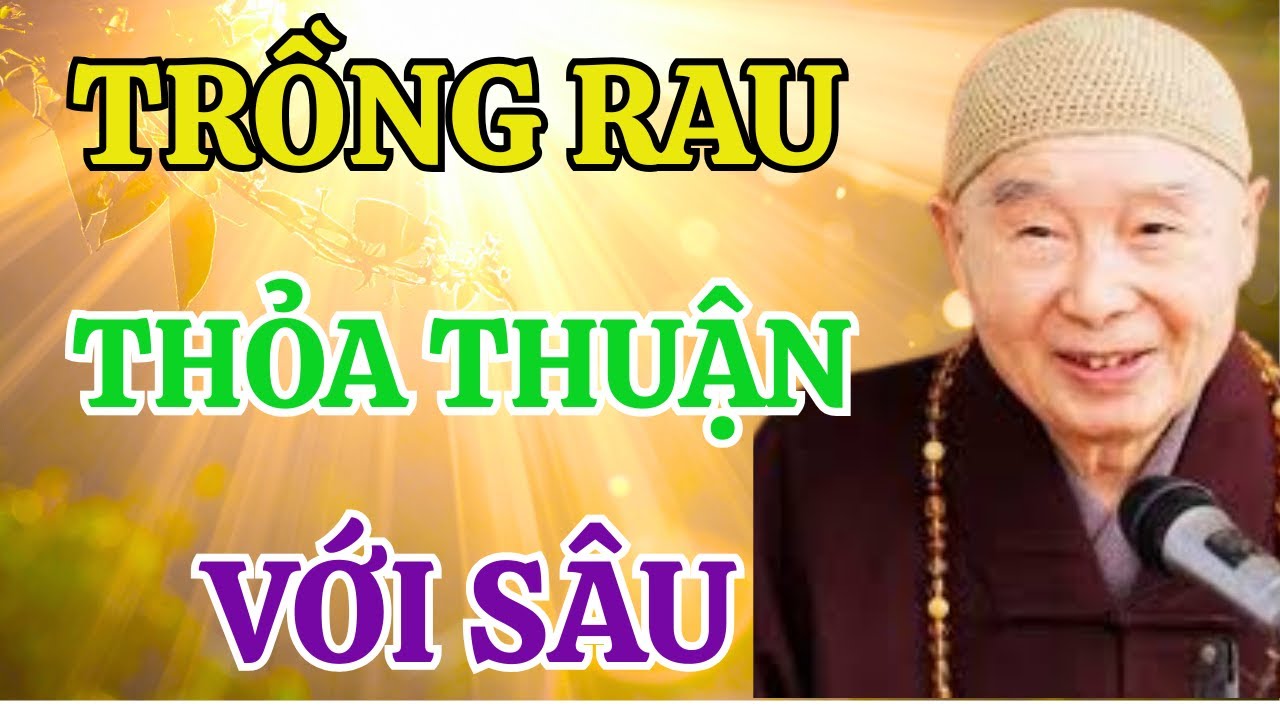 Chuyện Lạ Có Thật: Trồng Rau Không Phun Thuốc, Xin Sâu Bọ 