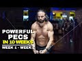 Powerful Pecs in 10 Weeks | Week 1 - Week 2