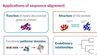 Bioinformatics|Sequence Alignment | Pairwise & Multiple sequence alignment | Full Explanation | Demo
