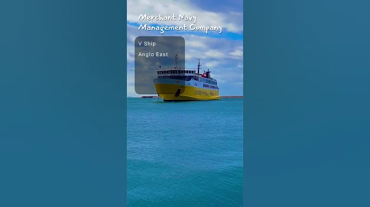 Merchant Navy | Top Management Company #shorts #merchantnavy #marine #management #company #best #sea