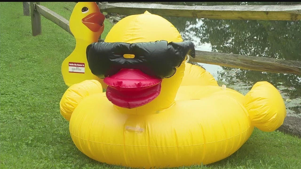 Rubber duck fundraiser to benefit local school YouTube