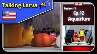 🅻🅰🆁🆅🅰 📢 Talking Larva I Season 1 I Episode 12 I Larva Cartoon I English I Larva Official