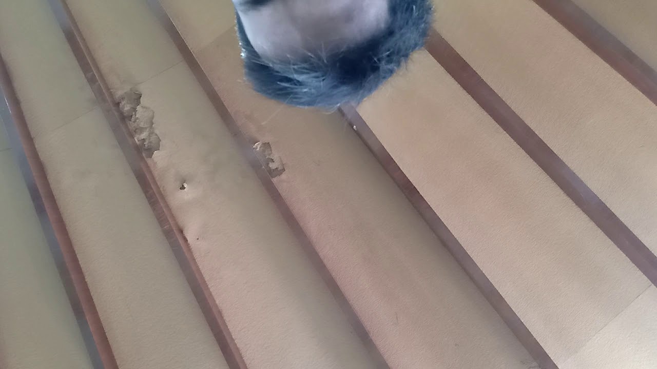 Bacaan Bilal Sholat Jumat Di Masjid Jamik Al Amin Jember Youtube