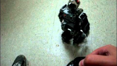 Bioloid with ZigBee remote control working!