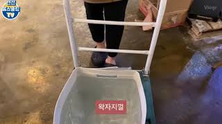 #11 #홈스쿨링 #미니수족관 screenshot 4