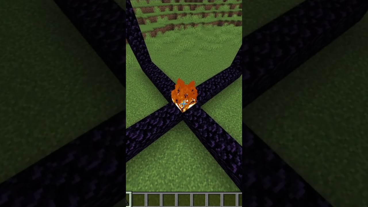 Minecraft nether portal glitch😯😯