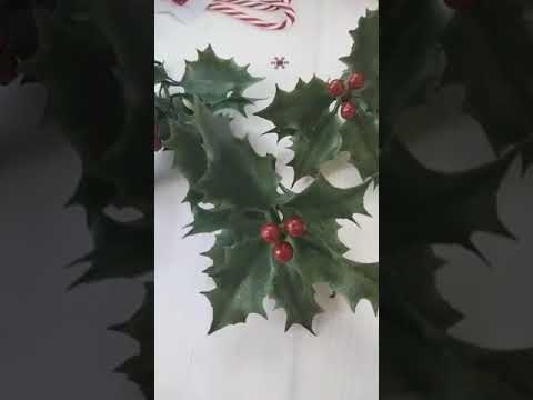 Ветка "Рождественника" с ягодами.