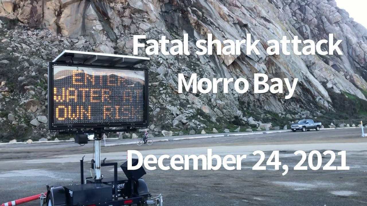Fatal Shark Attack. Morro Bay, California. December 24, 2021 YouTube