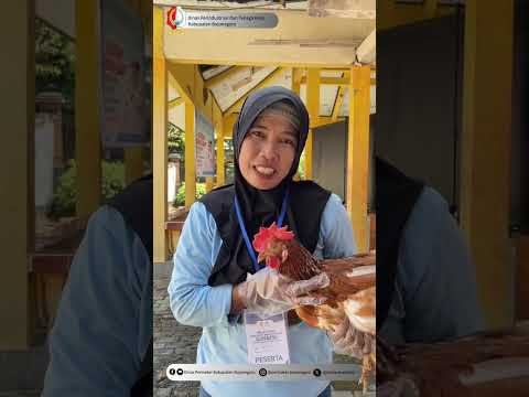 Thumbnail PELATIHAN WIRAUSAHA BARU PENERIMA MANFAAT GAYATRI
