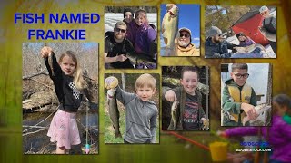 Big Ol Fish: A Fish Named Frankie