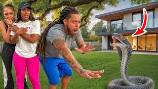 OUR BACKYARD IS INFESTED WITH SNAKES 🐍