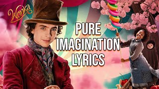 Pure Imagination Lyrics (From 'Wonka') Timothée Chalamet