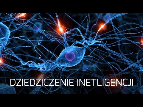 Wideo: Naukowcy Udowodnili, że 50–80% Inteligencji Jest Dziedziczone - Alternatywny Widok