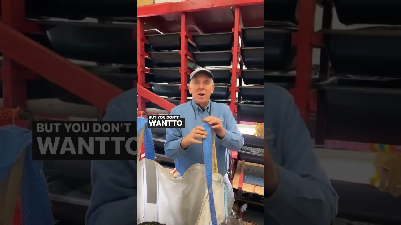 Q&A: Can you feed worms bread? 