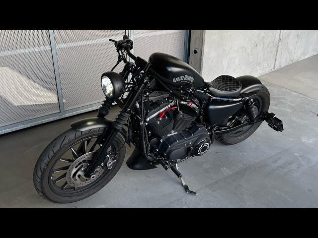 Customized Harley-Davidson Sportster XL883N - 2015 class=