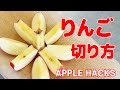 斬新！リンゴの簡単な切り方 Easy Apple Hack【便利なフルーツライフハック】便利裏技