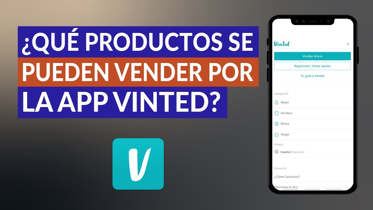 Quien Paga Los Gastos De Envio En Vinted