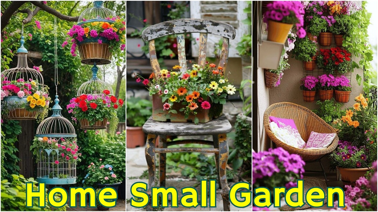 ☘️aiiKEN73*Garden☘️AG202606 Small Garden ideas, Garden ideas, Small Garden Design, Garden