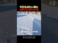 今日も冷たい雪にお喋りが止まらない猫w