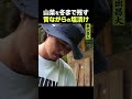 東出昌大 / 昔ながらの塩漬けのサムネイル