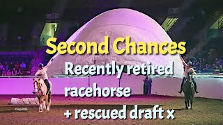 The Harmony of Second Chances | Live at Theatre Equus – Horse World Expo 2026