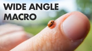 Wide Angle Macro Photography! Laowa 15mm f/4 Lens Review