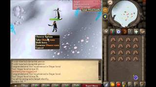 SoulSplit Extreme mode Progress video: 2 slayer, dung, and money.