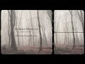 ROBERT DEEBLE | The Forest from the Tree