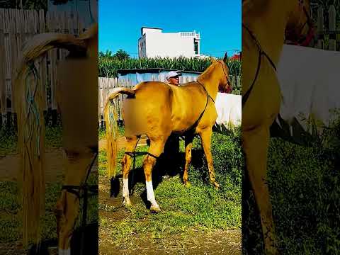 𝙱𝚎 𝚠𝚑𝚘 𝚢𝚘𝚞 𝚠𝚊𝚗𝚝 𝚝𝚘 𝚋𝚎 𝚊𝚗𝚍 𝚗𝚘𝚝 𝚠𝚑𝚊𝚝 𝚘𝚝𝚑𝚎𝚛𝚜 𝚠𝚊𝚗𝚝 𝚝𝚘 𝚜𝚎𝚎