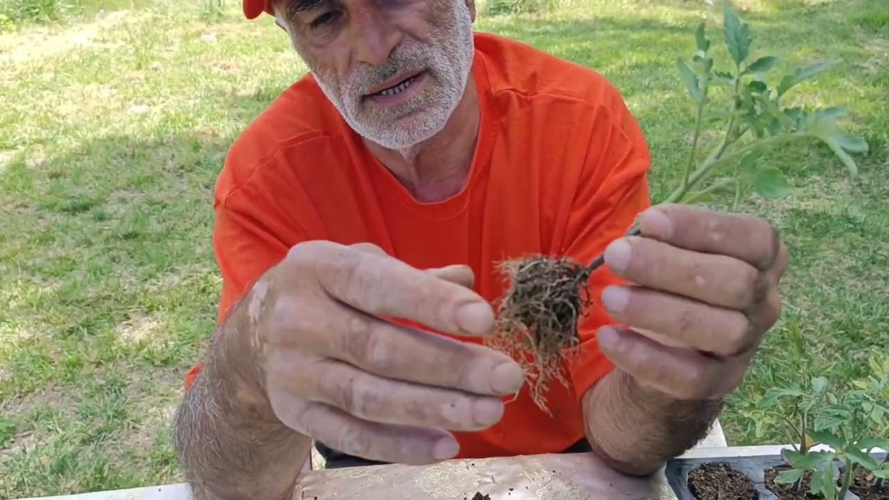 Hayalimdeki Fide Nasıl Olmalı